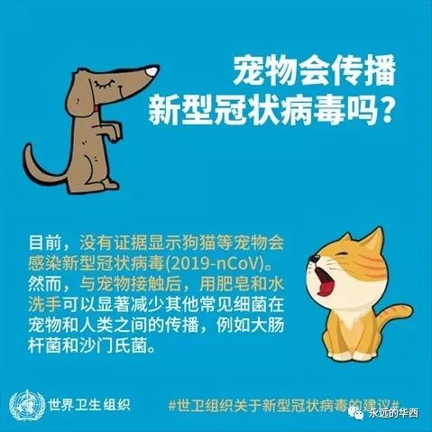 警惕身边的健康隐患，接触污染物也能感染
