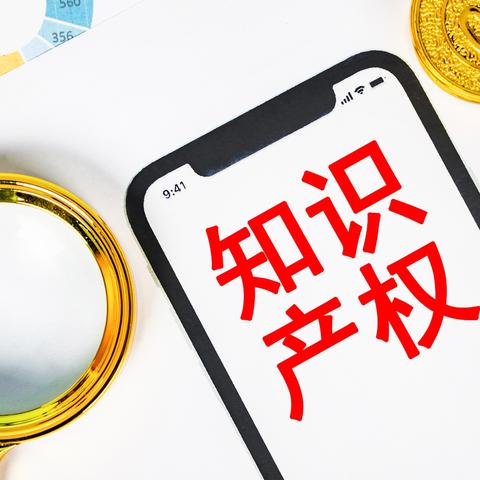 中华人民共和国知识产权局的职责及其贡献概览