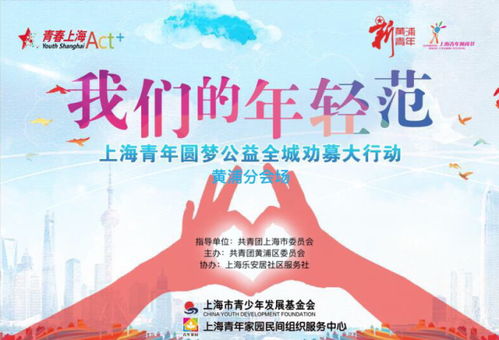 爱满申城，上海万人相亲会的魅力与启示