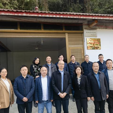 农科频道，乡村振兴的坚实助力与关键力量
