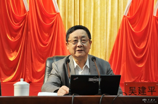 吴建平，科技领域的耀眼明星