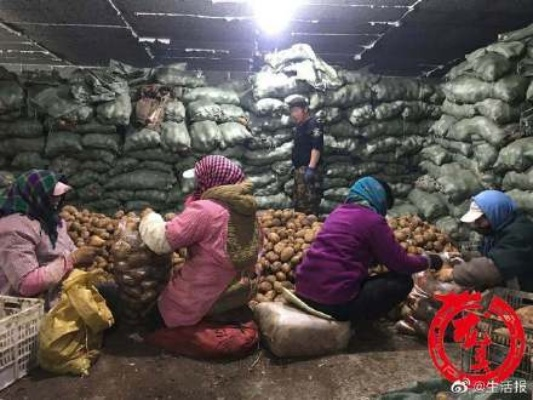 700一吨买土豆，土比土豆多？这惊人的交易背后究竟是怎么回事？