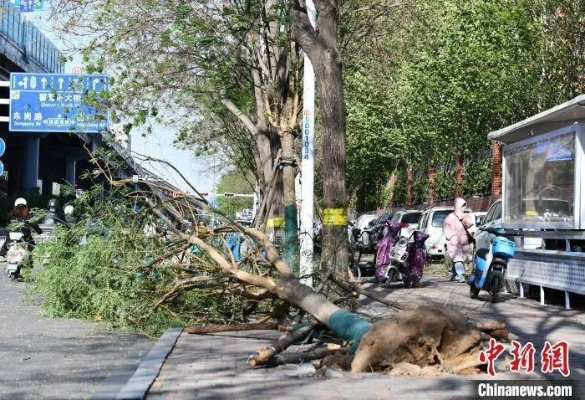 桦加沙遭遇罕见破纪录12级大风，持续肆虐达十小时