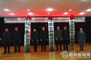 湖北中医药高等专科学校，传承中医文化，培育医学人才的摇篮