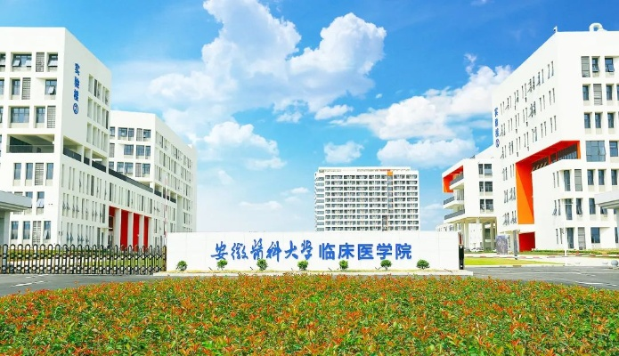 安徽医科大学临床医学院，医学人才的卓越培育摇篮