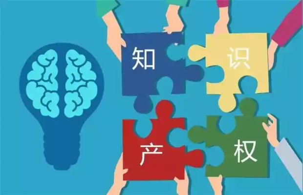 国家知识产权网站，推动知识产权事业发展的核心驱动力