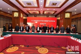国家知识产权局专利局，推动创新与知识产权协同发展的引领者