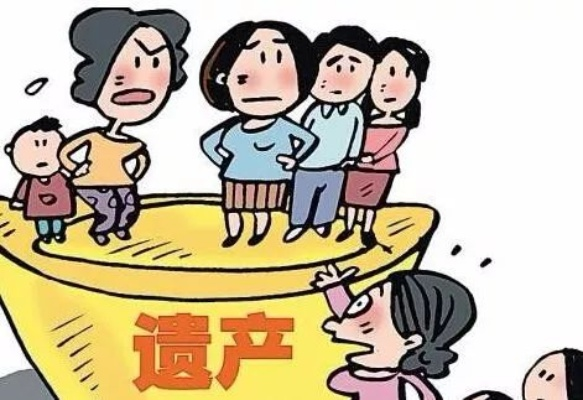 独身男子死亡遗产判给村委会引争议，背后真相待揭晓