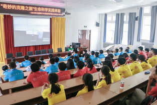 探索东北农业大学研究生学院的卓越之路