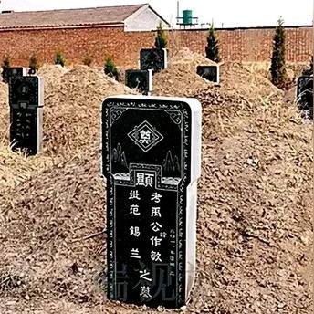 农业资源与环境，铸就可持续发展的坚固基石