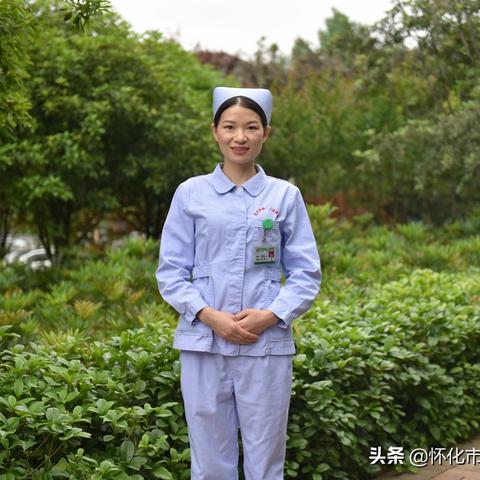 广东新增基孔肯雅热本地病例，积极应对措施保障民众健康安全