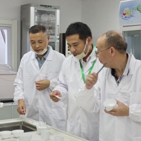 走进武汉信息传播职业学院，魅力展现与成长之路