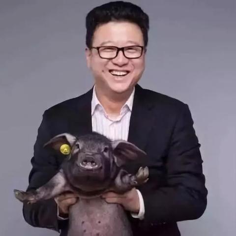 2014年中国大学排名，风云变幻下的教育格局解析