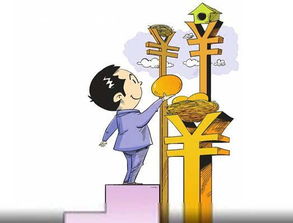 餐桌上的投资风波，巨额投资引发夫妻激烈冲突