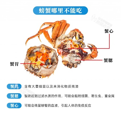 刚死不久的螃蟹能否食用？解析螃蟹新鲜度与食用安全边界。